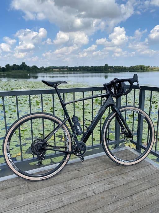 Ferienwohnung Sued - West Harz Mit Sauna E-Bikes Vorhanden! Horden am Harz Exteriör bild
