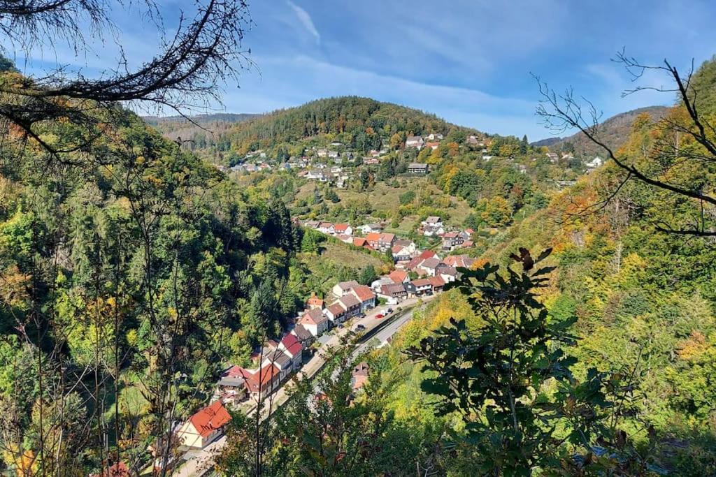 Ferienwohnung Sued - West Harz Mit Sauna E-Bikes Vorhanden! Horden am Harz Exteriör bild