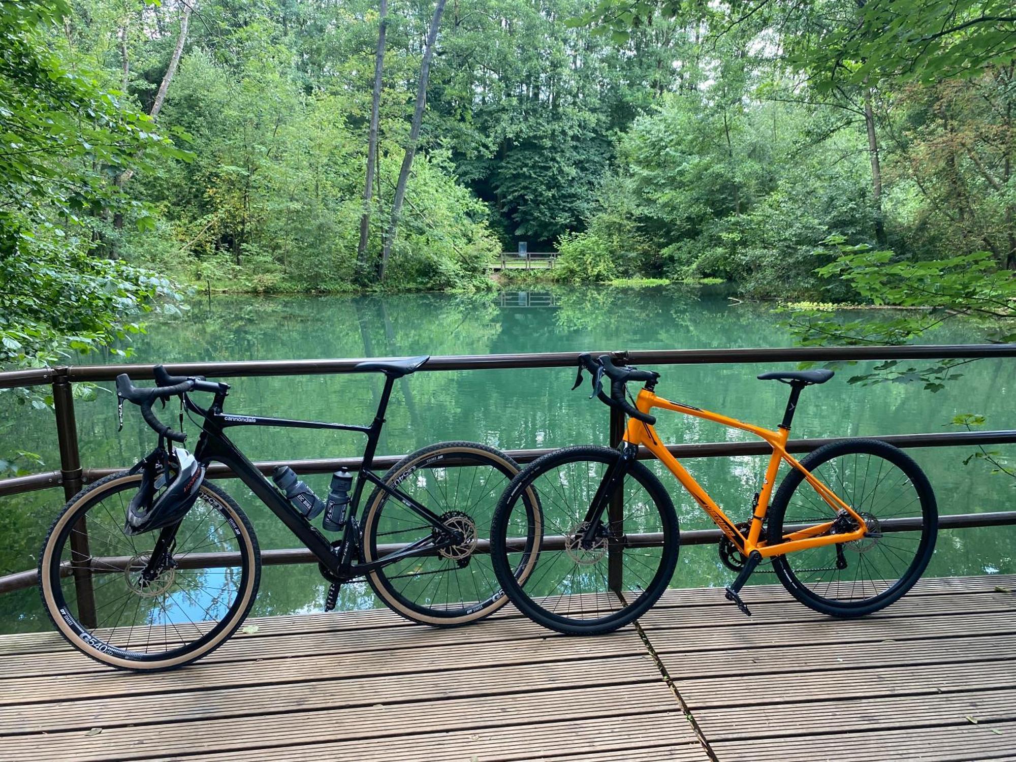 Ferienwohnung Sued - West Harz Mit Sauna E-Bikes Vorhanden! Horden am Harz Exteriör bild